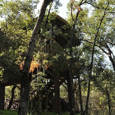 Los Nidos De Santa Maria Arroyo Frio Eksteriør billede